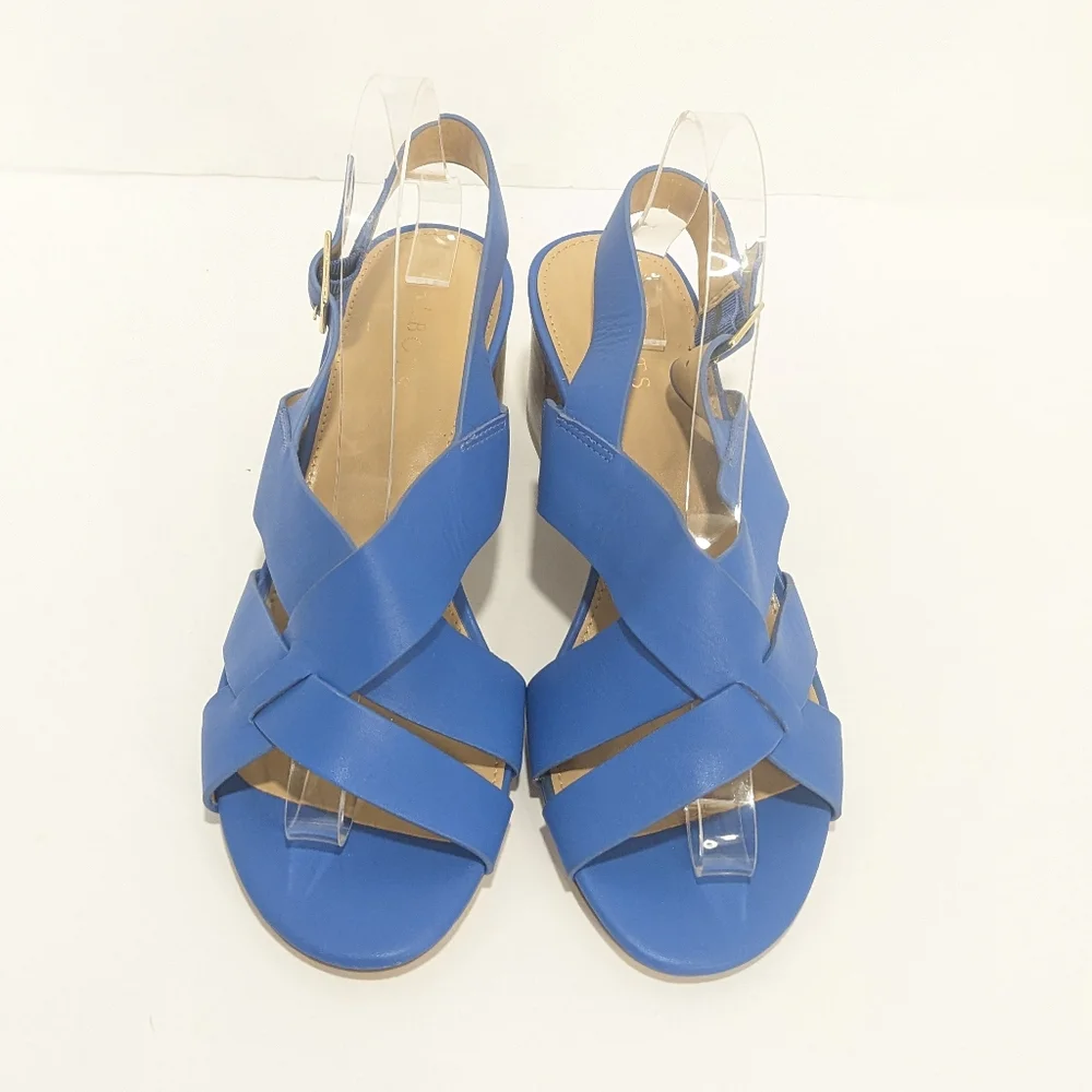 NWOT Talbot Blue Leather Sandals